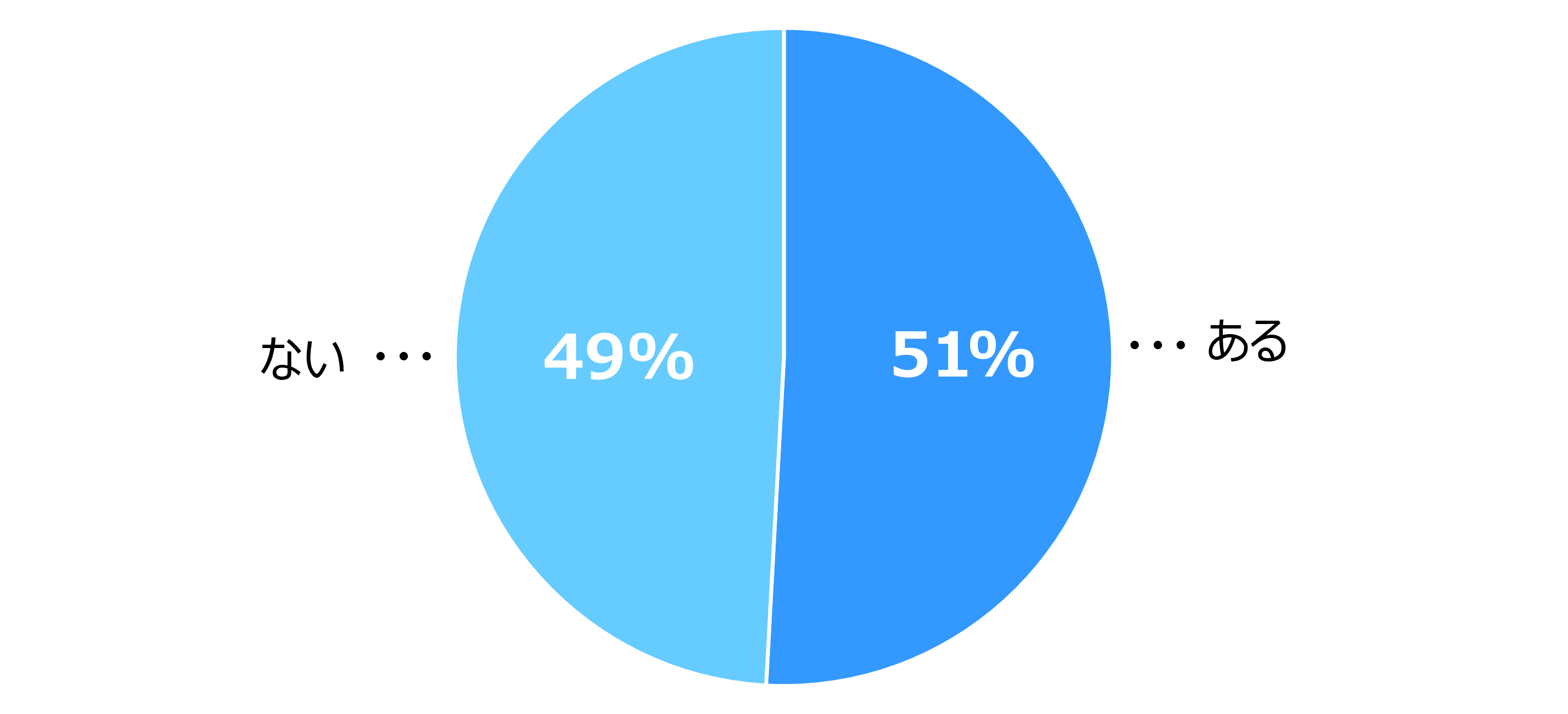 円グラフで、「ある（51%）」と「ない（49%）」がほぼ半々。